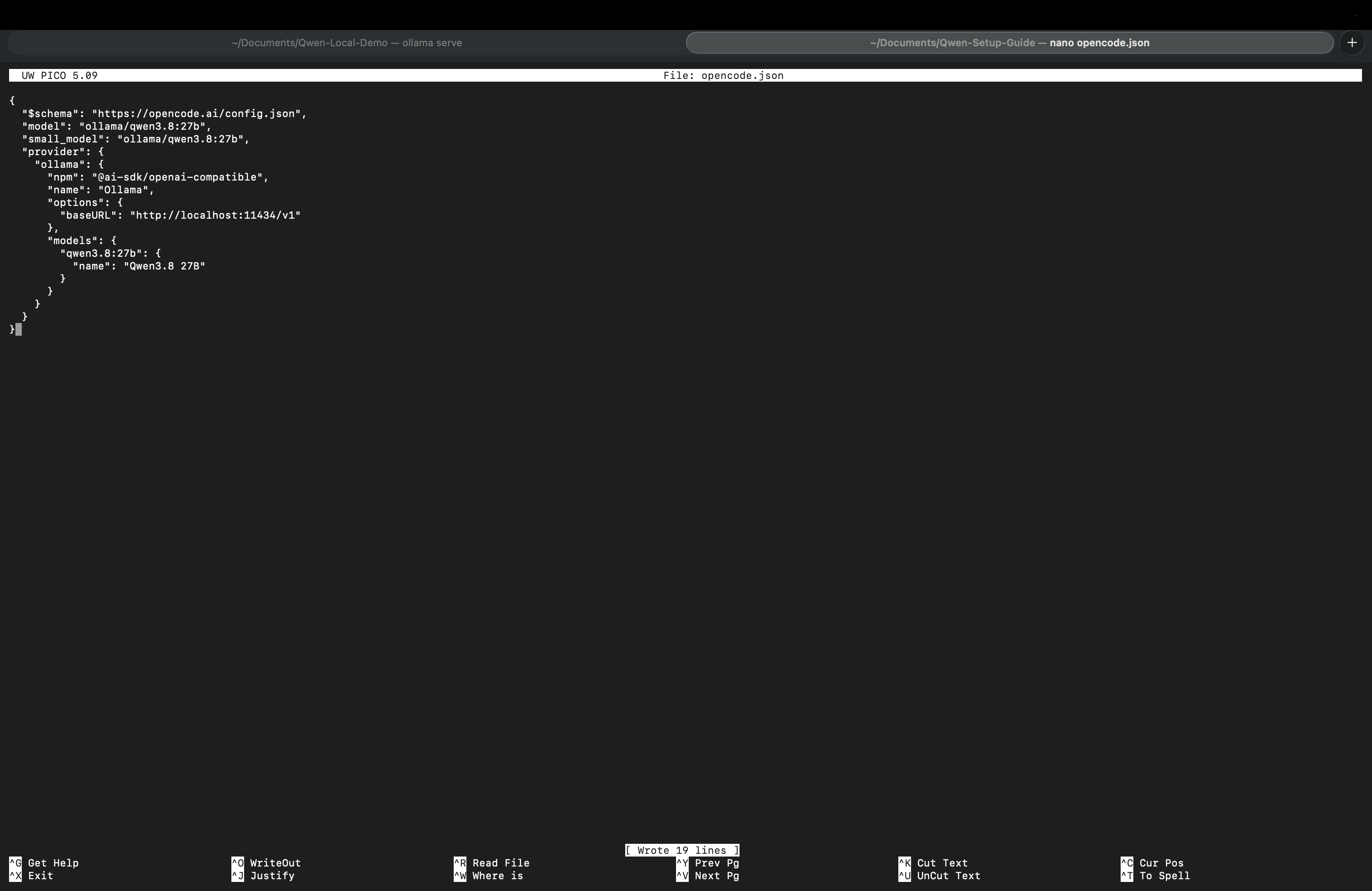 Edit and save opencode.json in the terminal editor
